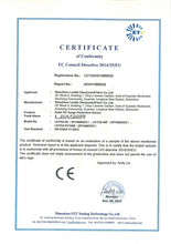 Load image into Gallery viewer, 1pcs CE Approved 2P DC 1000V SPD 20-40kA DC Surge Suppressors/ DC Surge Protector for Solar System Protection