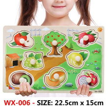 Load image into Gallery viewer, New Hand Grab Board Wooden Puzzle Toys for Children Cartoon Animal Fruit Kids Baby Early Educational Learning Toy