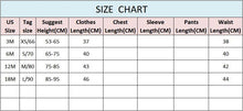 Load image into Gallery viewer, Newborn Bodysuits Baby Clothes Summer Bodysuit Cotton One-Piece Jumpsuit Soft In elegant Modern Style