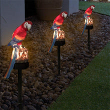 Load image into Gallery viewer, Decorative LED Garden Waterproof Yard Lamp In Shape Of Parrot Outdoor Resin Solar Lights For Pathway Doorway Lawn