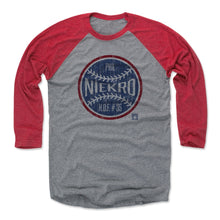 Load image into Gallery viewer, Phil Niekro Ball B