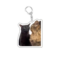Load image into Gallery viewer, Funny Cat Memes Series Keychain Student Gift Bag Lanyard Women's Bag Pendant Keychain Cute Things Cheap Gift For Best Friends