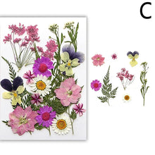 Load image into Gallery viewer, For Fun DIY Embossed Dried Flower Resin Fillings Real Flower for Home Decoration Nail Art Handicrafts Jewelry Making Crafts