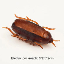 Load image into Gallery viewer, Interactive Mini Electric Bug Cat Toy – Battery Operated Flip Beetle