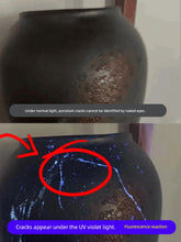 Load image into Gallery viewer, Cat Moss Charging Fake Currency Detection Special Identification Black Light Bulb