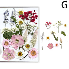 Load image into Gallery viewer, For Fun DIY Embossed Dried Flower Resin Fillings Real Flower for Home Decoration Nail Art Handicrafts Jewelry Making Crafts