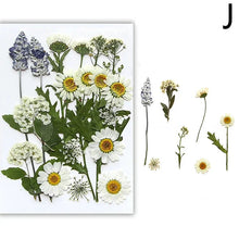Load image into Gallery viewer, For Fun DIY Embossed Dried Flower Resin Fillings Real Flower for Home Decoration Nail Art Handicrafts Jewelry Making Crafts