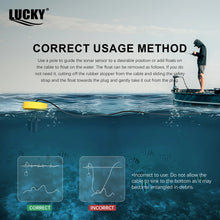 Load image into Gallery viewer, FFC1108-1 Alarm 100M Portable Sonar Fish Finders 45 degrees Sonar Coverage Echo Sounder Alarm Transducer Lake Sea Fishing
