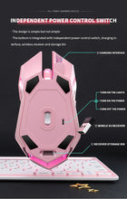 Load image into Gallery viewer, USB Wireless Gaming Mouse RGB Gamer Mouse 6 Buttons Mice Optical Office Computer Mouse For Desktop Laptop Ergonomic Mouse