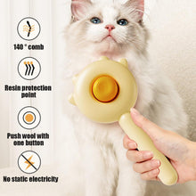 Load image into Gallery viewer, Cat Comb Massage Pet Magic Combs Hair Removal Cat and Dog Universal Needle Brush Pets Grooming Cleaning Remove Supply Care Set Pet Hair Cleaner Brush for Dogs Long or Short Hair Cats Pet Massage Brushes