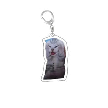 Load image into Gallery viewer, Funny Cat Memes Series Keychain Student Gift Bag Lanyard Women's Bag Pendant Keychain Cute Things Cheap Gift For Best Friends