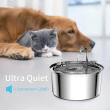 Load image into Gallery viewer, Stainless Steel Pet Water Fountain – USB Automatic Cat & Dog Bowl