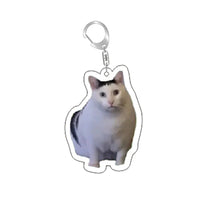 Load image into Gallery viewer, Funny Cat Memes Series Keychain Student Gift Bag Lanyard Women's Bag Pendant Keychain Cute Things Cheap Gift For Best Friends