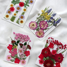 Load image into Gallery viewer, For Fun DIY Embossed Dried Flower Resin Fillings Real Flower for Home Decoration Nail Art Handicrafts Jewelry Making Crafts