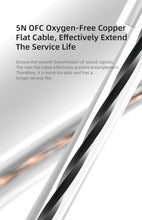 Load image into Gallery viewer, KZ EDX pro In-ear type Earphones Stereo DJ Hi-Fi Bass HIFI Microphone Earplugs Cable speakers reduce noise and detachable cables