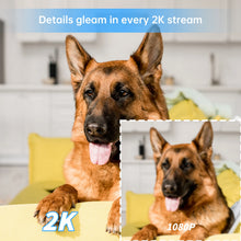 Load image into Gallery viewer, WESECUU Wifi IP Camera 360° Full Coverage PTZ Security Camera 1080P Auto Tracking Wireless Surveillance Night Vision Mini Camera
