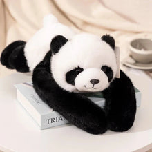 Load image into Gallery viewer, Kawaii Forest Animal Plush – Soft Raccoon, Dinosaur, Sloth, Panda Toy