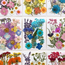 Load image into Gallery viewer, For Fun DIY Embossed Dried Flower Resin Fillings Real Flower for Home Decoration Nail Art Handicrafts Jewelry Making Crafts