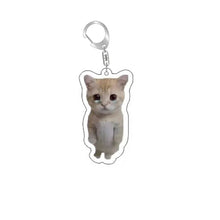 Load image into Gallery viewer, Funny Cat Memes Series Keychain Student Gift Bag Lanyard Women's Bag Pendant Keychain Cute Things Cheap Gift For Best Friends