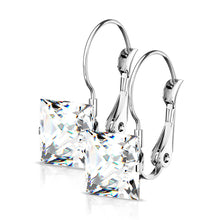 Load image into Gallery viewer, 8mm Princess CZ Stainless Steel Leverback Earrings