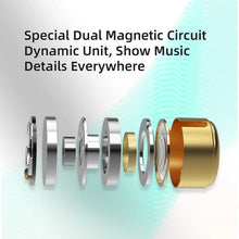 Load image into Gallery viewer, KZ EDX pro In-ear type Earphones Stereo DJ Hi-Fi Bass HIFI Microphone Earplugs Cable speakers reduce noise and detachable cables