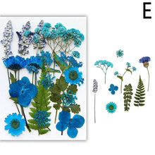 Load image into Gallery viewer, For Fun DIY Embossed Dried Flower Resin Fillings Real Flower for Home Decoration Nail Art Handicrafts Jewelry Making Crafts