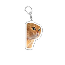 Load image into Gallery viewer, Funny Cat Memes Series Keychain Student Gift Bag Lanyard Women's Bag Pendant Keychain Cute Things Cheap Gift For Best Friends