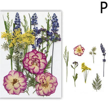Load image into Gallery viewer, For Fun DIY Embossed Dried Flower Resin Fillings Real Flower for Home Decoration Nail Art Handicrafts Jewelry Making Crafts