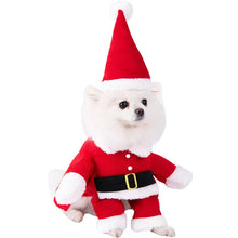 Load image into Gallery viewer, Halloween Dagger Pet Costume - Funny Knife-Holding Dog & Cat Standing Dress for Festival Dress-Up