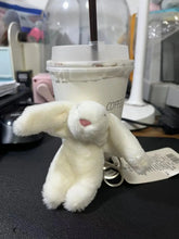 Load image into Gallery viewer, Cute Cartoon Rabbit Plush Keychain – Pompom Bag & Phone Pendant