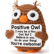 Load image into Gallery viewer, Funny Crochet Positive Inspirational Emotional Support Owl Doll Home Room Decoration Handmade Knitted Owl Desktop Ornament Gift