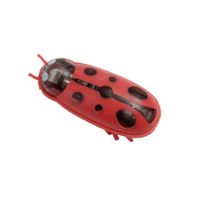 Load image into Gallery viewer, Interactive Mini Electric Bug Cat Toy – Battery Operated Flip Beetle
