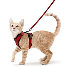 Load image into Gallery viewer, Cat Harness and Leash – Soft Adjustable Escape-Proof Vest for Walking Cats