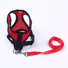 Load image into Gallery viewer, Adjustable Dog Harness No-Pull Pet Harness Soft Padded Dog Vest Reflective No-Choke Pet Vest With Easy Control Handle