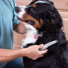 Load image into Gallery viewer, Allstar Innovations Electric Pet Grooming Comb