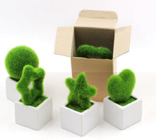Load image into Gallery viewer, Artificial Lawn Simulation Grass Pile Simulation Flocking Love Star Bonsai Fake Flower Grass Ball For Home Decorations Ornaments Gifts