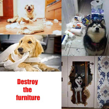 Load image into Gallery viewer, AWOOF Pet Snuffle Mat for Dogs