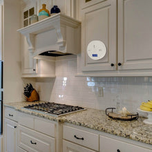 Load image into Gallery viewer, Battery Operated Carbon Monoxide Sensor Alarm