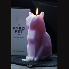 Load image into Gallery viewer, Black Cat Candle Cat Skeleton Candle Unveil Skeleton When Burning Cool And Unique Gifts For Animal Lovers Cat Gifts Cat Lovers Gift Pet Candle Handmade Candle Craft Candle With skeleton Christmas New Year Decoration Gift