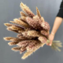Load image into Gallery viewer, Bulrush Natural Dried Flowers Artificial Branch Pampas Grass Phragmites Fake Flower Wedding Home Decoration Christmas Decor