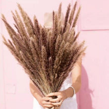 Load image into Gallery viewer, Bulrush Natural Dried Flowers Artificial Branch Pampas Grass Phragmites Fake Flower Wedding Home Decoration Christmas Decor