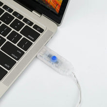 Load image into Gallery viewer, Butterfly Curtain String Lights USB Powered with 8 Modes 96 LED Remote Control
