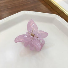 Load image into Gallery viewer, Butterfly Hair Clip Fairy Geometric Acrylic Acetate Hairpins Girls Women Hair Claws Transparent Clip Hair Accessories Barrettes Fashion Hairgrips Accessories For Party