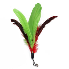 Load image into Gallery viewer, Cat Feather Toy Set Cat Feather Teaser Wand Toy for Kitten Cat Having Fun Exercise Playing Without the Stick Interactive Cat Feather Toys Retractable Cat Wand Toy and Feathers Teaser Refills Cat Toys for Indoor