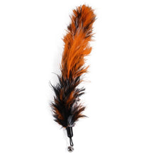 Load image into Gallery viewer, Cat Feather Toy Set Cat Feather Teaser Wand Toy for Kitten Cat Having Fun Exercise Playing Without the Stick Interactive Cat Feather Toys Retractable Cat Wand Toy and Feathers Teaser Refills Cat Toys for Indoor