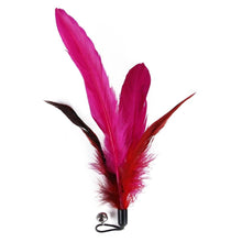 Load image into Gallery viewer, Cat Feather Toy Set Cat Feather Teaser Wand Toy for Kitten Cat Having Fun Exercise Playing Without the Stick Interactive Cat Feather Toys Retractable Cat Wand Toy and Feathers Teaser Refills Cat Toys for Indoor