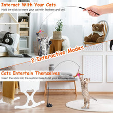 Load image into Gallery viewer, Cat Feather Wand Rod with 12 Pieces Feather Replacements for Cats