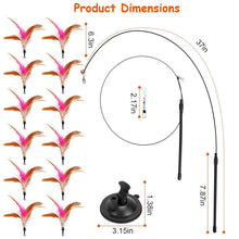 Load image into Gallery viewer, Cat Feather Wand Rod with 12 Pieces Feather Replacements for Cats