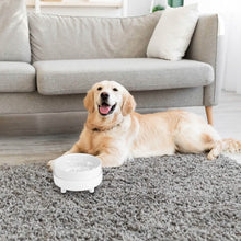Load image into Gallery viewer, Ceramic Heated Pet Water Bowl Food Warmer