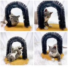 Load image into Gallery viewer, Comfortable Arch Cats Massager Pet Cat Itching Grooming Supplies Round Fleece Base Kitten Bristle Ring Brush and Carpet Base Groomer Massager Scratcher for Controlling Shedding Healthy Fur and Claws Toy Scratching Device Brush for Pets